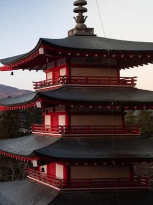 Immagine nº 2 di Tokyo: gita a Nikko, Santuario Toshogu, cascate Kegon e lago Chuzenji attività a Tokyo, caricata dal fornitore