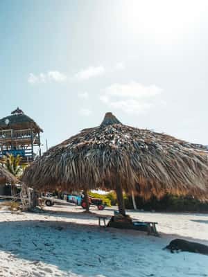 afbeelding n.2 van Klein Curaçao: Boottrip van een hele dag activiteit in Curaçao, geüpload door aanbieder