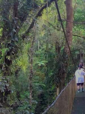 Immagine nº 2 di Guanacaste: gita di un giorno alla foresta pluviale, ai bradipi e alla natura con pranzo attività a Alajuela, caricata dal fornitore