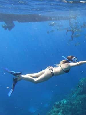 pilt nr 2/Cancun: Cancunc: 3 saartel Snorkel seiklus: 3 saartel Snorkel seiklus tegevusest Quintana Roo, üles laadinud tarnija