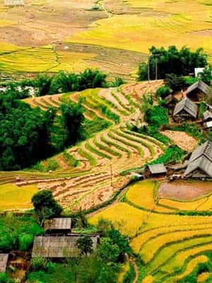 зображення №2 активності «Sapa: еко-пригоди Terrace Fields and Local Villages Trek» в такій локації: Північний В'єтнам, завантажене постачальником