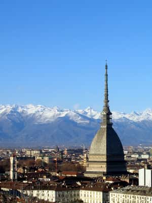 Immagine nº 2 di Torino: City card di 3 giorni per Torino e il Piemonte attività a Torino, caricata dal fornitore