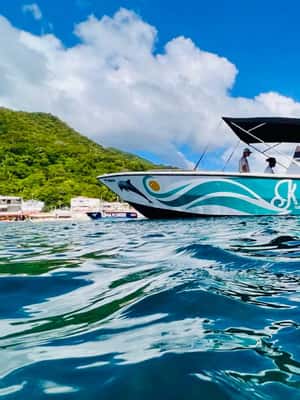 Image N°2 de Martinique : Découverte des tortues et des anses coralliennes activité à Les Anses-d’Arlet, publiée par le prestataire