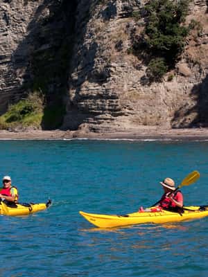 Εικόνα 2 από Όκλαντ: Motukorea Island: Half-Day Sea Kayak Tour to Motukorea Island δραστηριότητα σε Βόρειο Νησί, ανέβηκε από πάροχο