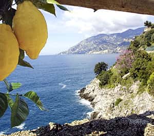 bild nr.2 av Neapel - Pompeji Pompeji, Positano och Sorrento Landutflykt aktivitet i Pompei, Kampanien, uppladdad av arrangören
