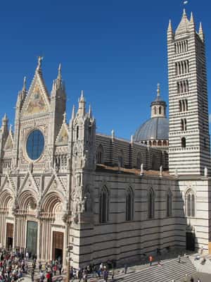 Immagine nº 2 di Tour di un giorno di Siena e San Gimignano e degustazione di vini da Roma attività a Siena, caricata dal fornitore