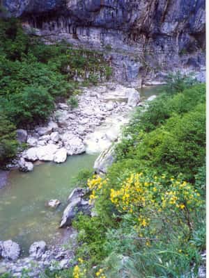 Εικόνα 2 από Ολοήμερη πεζοπορία με ξεναγό στο φαράγγι του Βίκου δραστηριότητα σε Ήπειρος, ανέβηκε από πάροχο