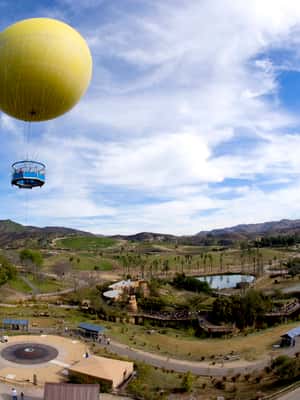 slika br. 2 iz kolekcije Dnevna ulaznica za zoološki vrt i safari park u San Diegu aktivnosti u mjestu San Diego, prenio opskrbni partner