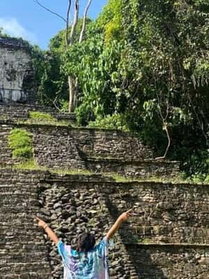 зображення №2 активності «Археологічна ділянка Паленке з Вільяермоси або аеропорту» в такій локації: Паленке, штат Чьяпас, завантажене постачальником