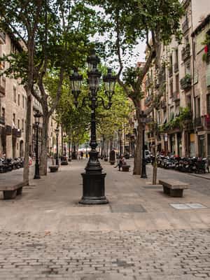 image n.2 of Barcelona: 4-Hour Private Picasso Museum & Walking Tour activity in Barcelona, uploaded by supplier