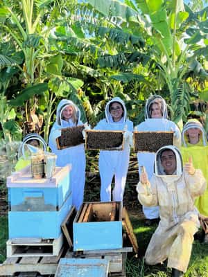 foto no. 2 dari aktivitas Tur Peternakan Lebah & Mencicipi Madu di Waialua, diunggah oleh pemasok