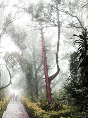 Bild Nr. 2 von Privater Ganztagesausflug zum Nandi Hill mit Mittagessen Aktivität in Bangalore, hochgeladen vom Anbieter