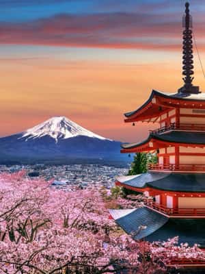 image n.2 of From Tokyo: Mount Fuji Full Day Private Tour English Guide activity in Fujikawaguchiko, uploaded by supplier