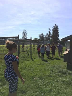 image n.2 of 6-Hour Victoria to Cowichan Wine Tour activity in Victoria, British Columbia, uploaded by supplier