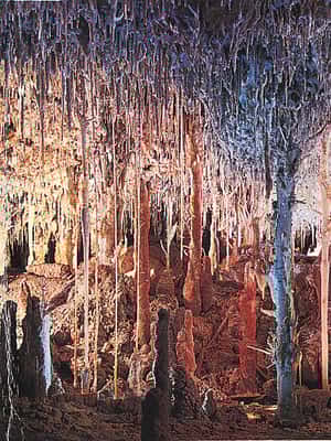 bild nr.2 av Mallorca: Hams grottor, Blå grottan och audiovisuellt aktivitet i Porto Cristo, uppladdad av arrangören