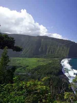 Immagine nº 2 di Da Oahu: Avventura sul vulcano dell'Isola Grande attività a Hawaii, caricata dal fornitore