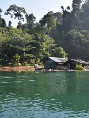 image n.2 of From Krabi: Cheow Lan Lake Cruise and Khao Sok Jungle Hike activity in Gulf of Thailand, uploaded by supplier