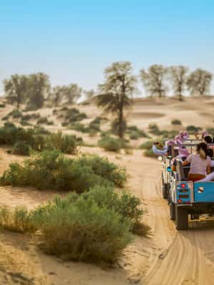 サプライヤーによってアップロードされた、ドバイのドバイ：ヴィンテージ ランドローバーでディナー付きのヘリテージ サファリの画像#2