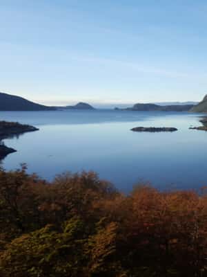 Immagine nº 2 di Ushuaia: Tour privato del Parco Nazionale della Terra del Fuoco attività a Terra del Fuoco, caricata dal fornitore