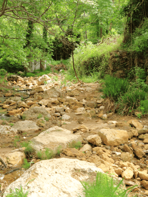 Immagine nº 2 di Fuoristrada: lago naturale, gole di montagna, foresta di palme e spiaggia attività a Kournas, caricata dal fornitore