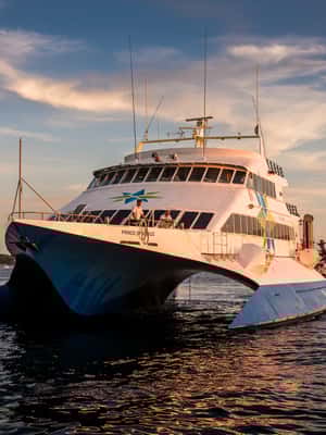 image n.2 of From Porec: Venice Catamaran Crossing One-Way or Round-Trip activity in Venice, uploaded by supplier