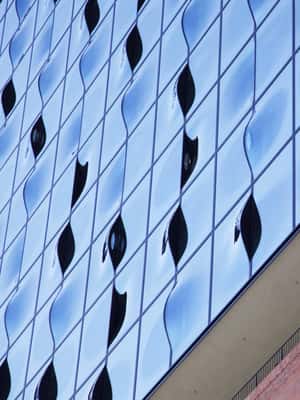 image n.2 of Hamburg: 2.5-Hour Discovery Tour activity in Hamburg, uploaded by supplier