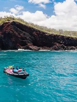 image n.2 of Kealakekua Bay: Snorkel and Coastal Adventure with Lunch activity in Honaunau-Napoopoo, uploaded by supplier