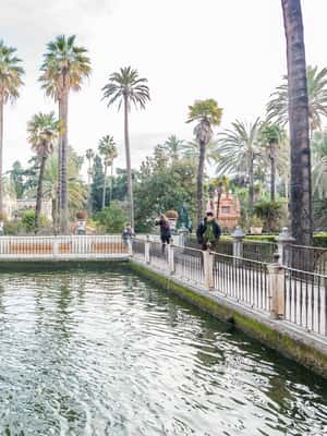 Immagine nº 2 di Siviglia: visita guidata all'Alcazar con ingresso attività a Siviglia, caricata dal fornitore