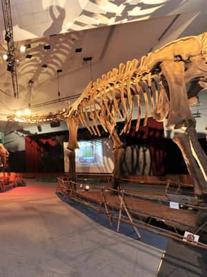 image n.2 of Singapore: Science Center E-Ticket activity in Singapore, uploaded by supplier