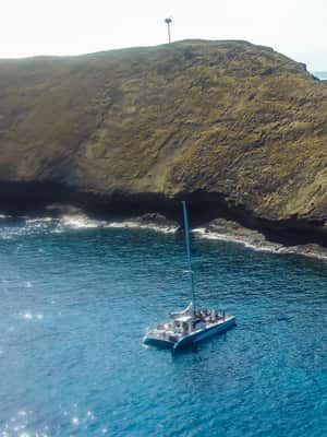 image n.2 of Maui: Molokini Snorkel and Performance Sail with Lunch activity in Hawaii, uploaded by supplier