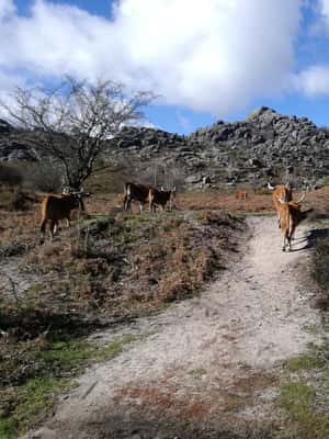 From Porto: Hiking and Swimming in Gerês National Park