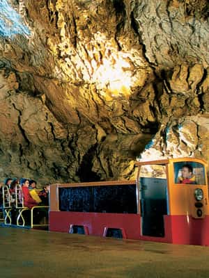imagem n.2 de Piran: Gruta de Postojna e Castelo de Predjama atividade em Eslovênia Central, carregada pelo fornecedor