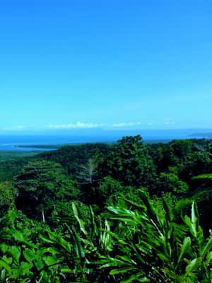 image n.2 of Cairns: Daintree, Mossman Gorge, & Cape Tribulation Day Trip activity in Queensland, uploaded by supplier