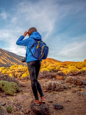 billede nr.2 af aktiviteten Fra det sydlige Tenerife: Dagstur med vandring på Teide-bjerget og svævebane i Kanarieøerne, uploadet af udbyder