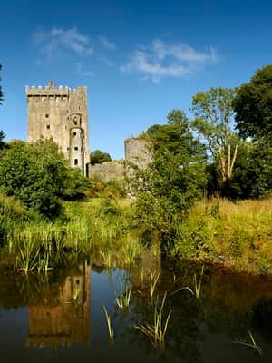image n.2 of Blarney Castle Full-Day Tour from Dublin activity in Munster, Ireland, uploaded by supplier