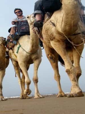 foto no. 2 dari aktivitas Essaouira: Menunggang Unta Selama 2 Jam di Kota Essaouira, diunggah oleh pemasok