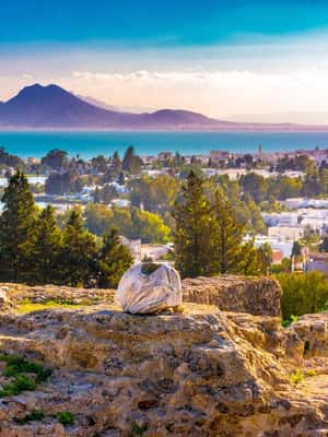 Image N°2 de Tunis : Visite de Carthage, du Bardo, de Sidi Bou Said et de la Médina activité à Tunis, publiée par le prestataire