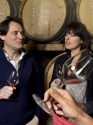 imagem n.2 de De Marselha: Excursão de 1 dia aos vinhos de Les Baux de Provence atividade em Saint-Rémy-de-Provence, carregada pelo fornecedor