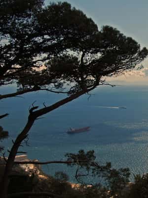 imagen n.º 2 de Desde Sevilla: Excursión de un día a Gibraltar actividad en Gibraltar, subida por el proveedor