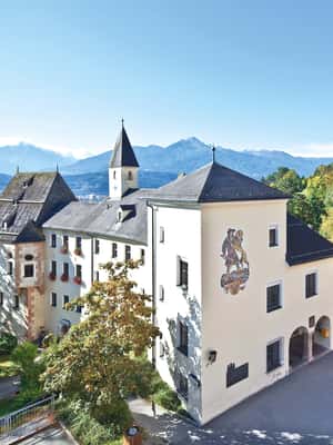 imagem n.2 de Ingresso combinado para o Jardim Zoológico Alpino e Hungerburg atividade em Innsbruck, carregada pelo fornecedor