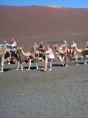 imagen n.º 2 de Lanzarote: Excursión al Parque Nacional de Timanfaya actividad en Yaiza, Lanzarote, subida por el proveedor