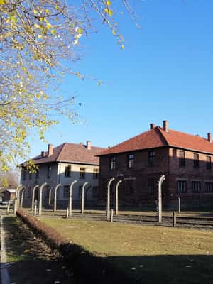 Immagine nº 2 di Da Varsavia: Tour di Auschwitz-Birkenau in auto attività a Oswiecim, caricata dal fornitore