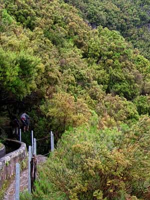 image n.2 of Madeira Walks - Rabaçal and the 25 Fountains activity in Madeira, uploaded by supplier