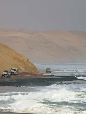 image n.2 of Walvis Bay: 4x4 Desert Excursion to Sandwich Harbour Bay activity in Erongo, uploaded by supplier