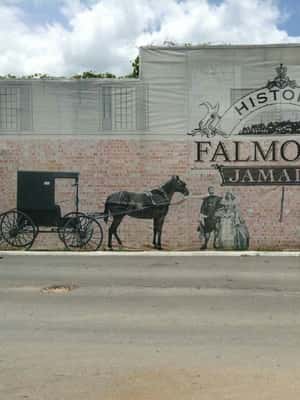 imagem n.2 de Falmouth: Passeio turístico histórico atividade em Montego Bay, carregada pelo fornecedor