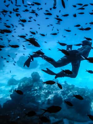 imagem n.2 de Santorini: Experiência de mergulho para principiantes atividade em Oía, Santorini, carregada pelo fornecedor