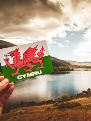 image n.2 of From Manchester: 3-Day Tour of Snowdonia, Wales, and Chester activity in Flintshire, uploaded by supplier