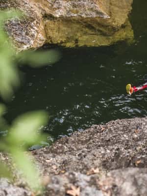 image n.2 of Salzburg: Canyoning Trip to Salzkammergut activity in Salzburg, uploaded by supplier