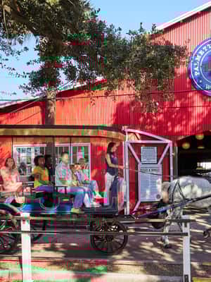 image n.2 of Charleston: Downtown Horse-Drawn Carriage Tour activity in Charleston, uploaded by supplier