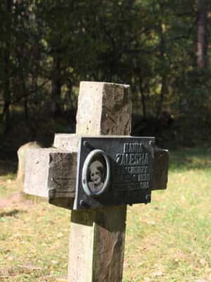 imagen n.º 2 de Varsovia: Visita al Desgarrador Campo de Concentración de Treblinka actividad en Varsovia, subida por el proveedor